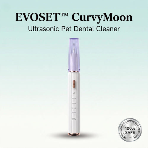 Evoset CurvyMoon Ultrasonic Pet Dental Cleaner main cover product shot featuring veterinarian recommended 100% safe seal on a luxury off-white gradient background.