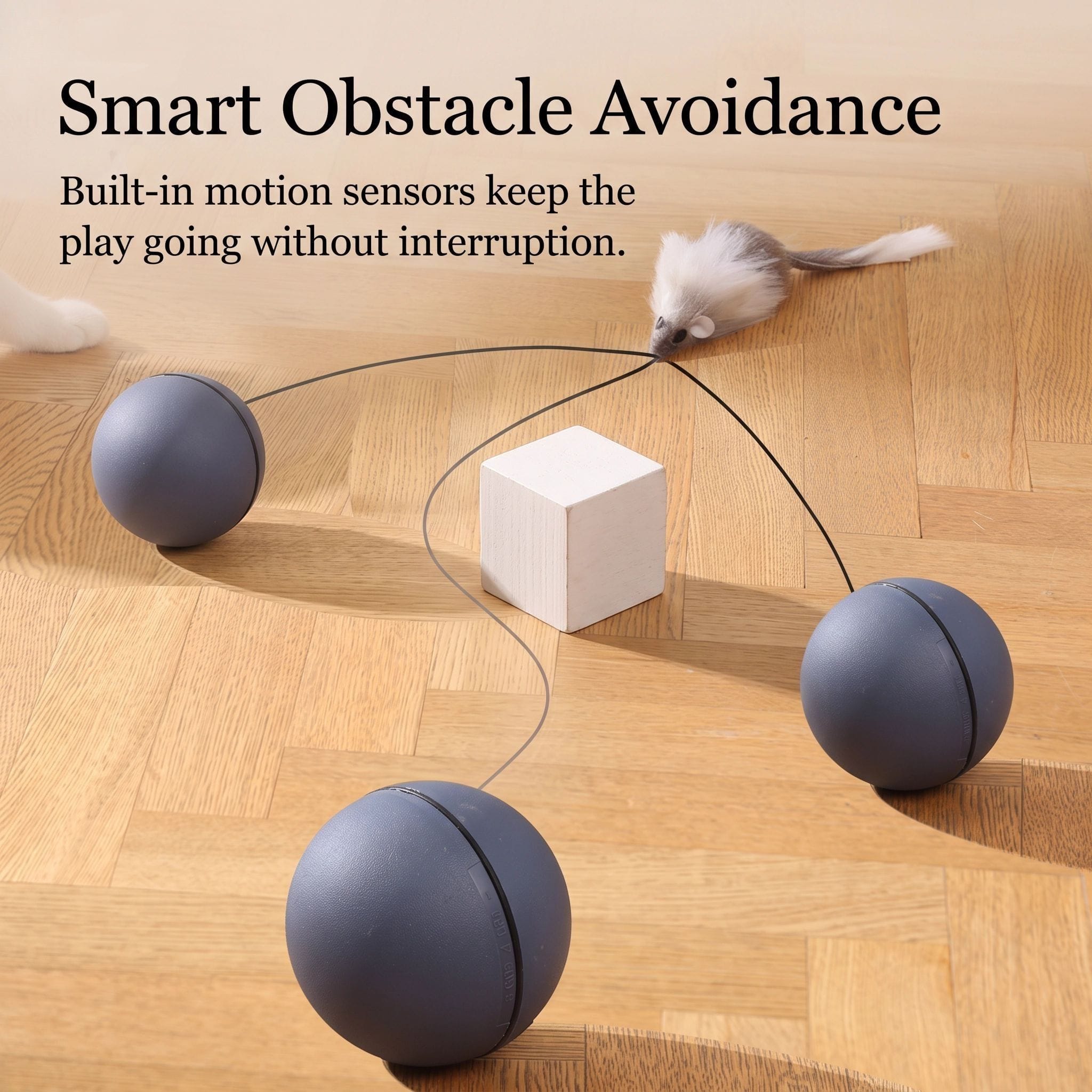 Evoset Evoset™ Smart Auto-Roll Ball 🐾 Evoset™ Smart Auto-Roll Ball 🐾