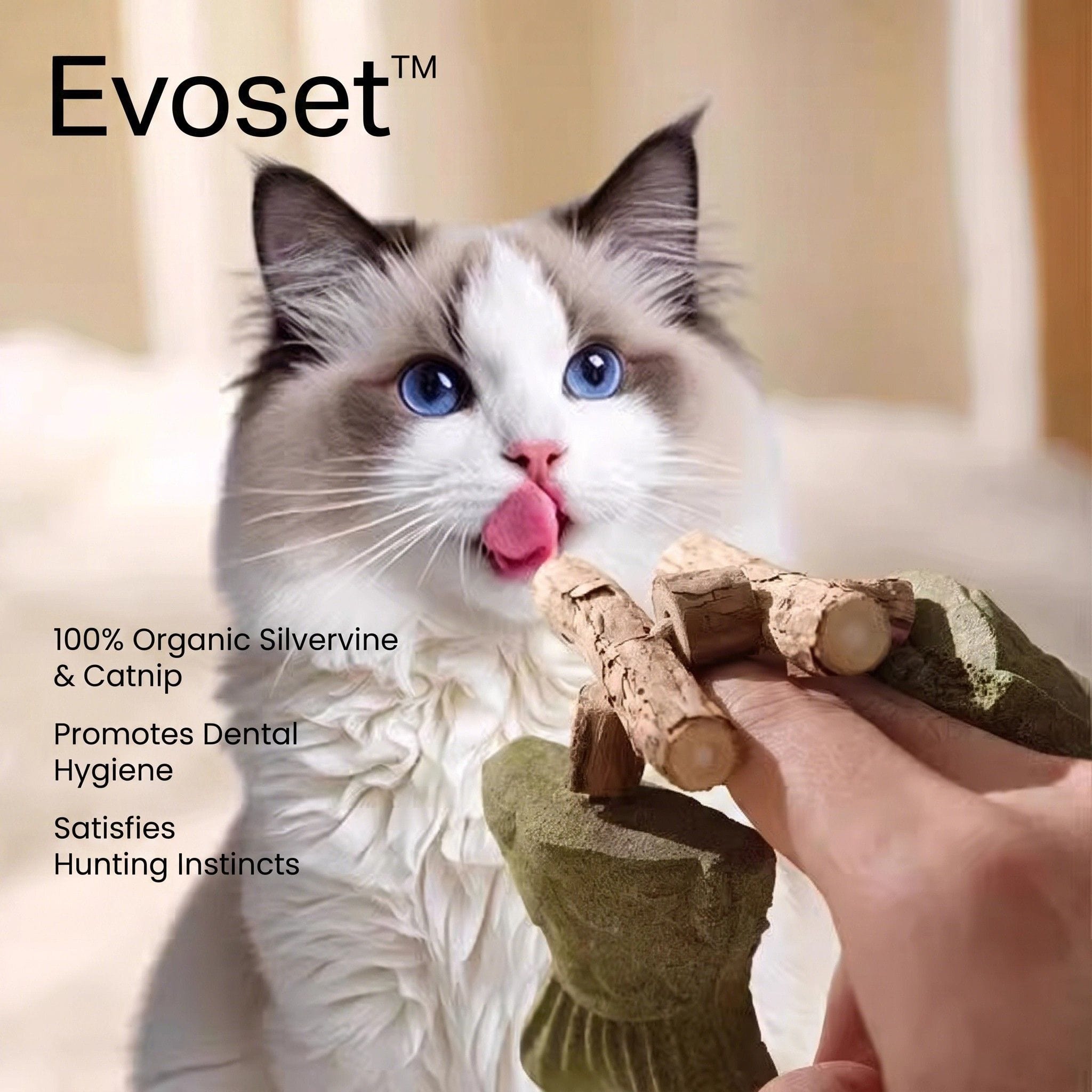Evoset Evoset™ Smart Wellness Dental Fish Bone Evoset™ Smart Wellness Dental Fish Bone