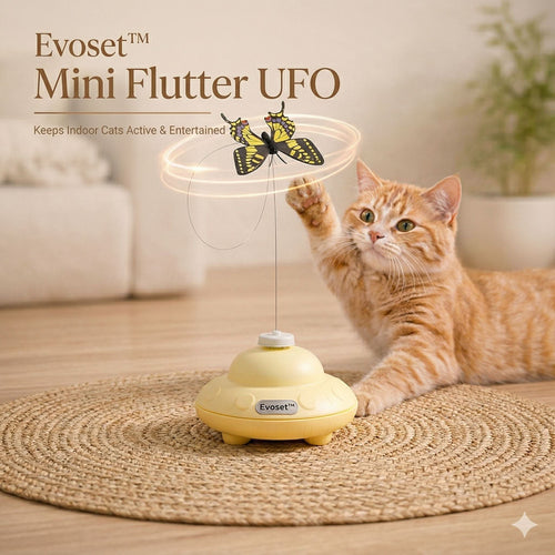 Cat playing with Evoset Mini Flutter UFO toy on a wooden floor.