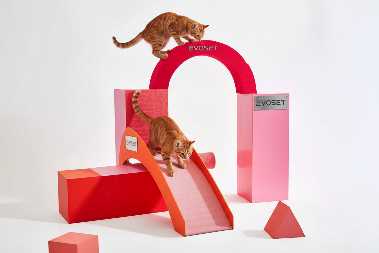 Red cat play structure with two cats on a white background