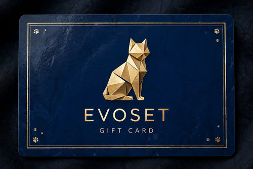 Evoset Gift Card